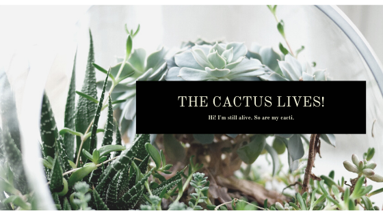 A terrarium with succulents and text reading the cactus lives
